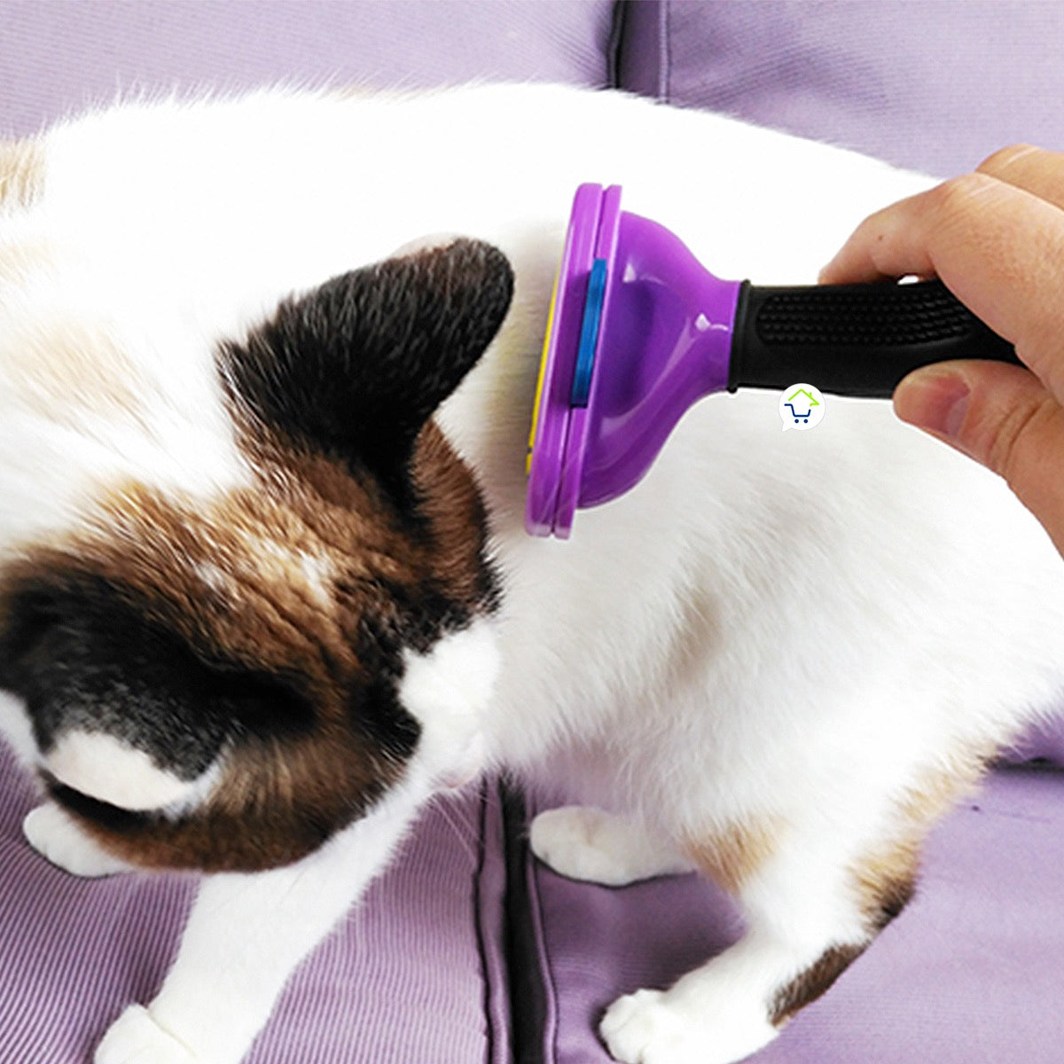 Cepillo Desenredante Profesional para Mascotas – Elimina Nudos y Pelo Muerto