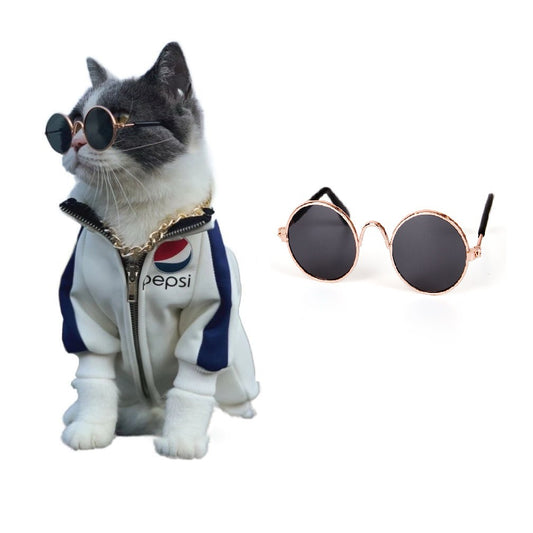 Gafas Divertidas para Gatos – Accesorio Cute para Fotos