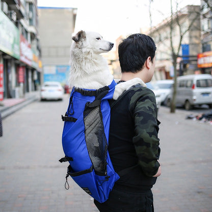 Comfort Dog Carrier Backpack