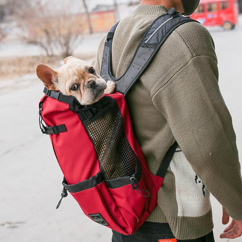 Comfort Dog Carrier Backpack