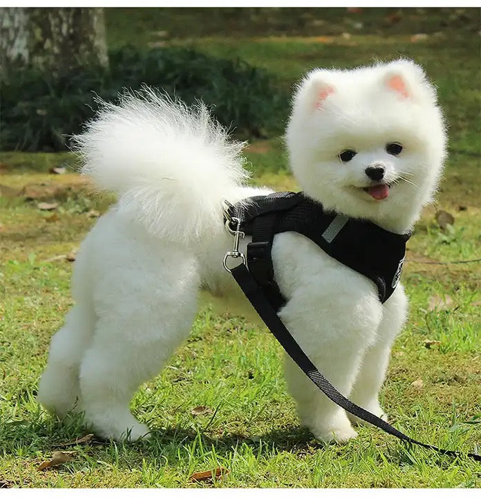 Pechera Ajustable para Perros y Gatos – Paseos Seguros y Cómodos