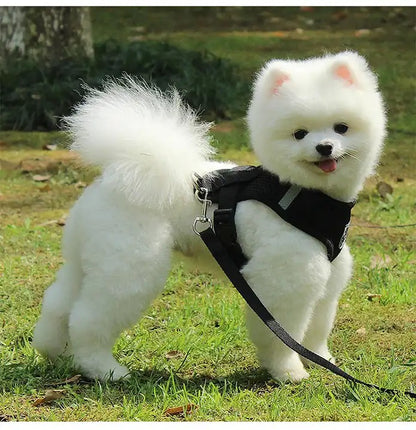 Pechera Ajustable para Perros y Gatos – Paseos Seguros y Cómodos