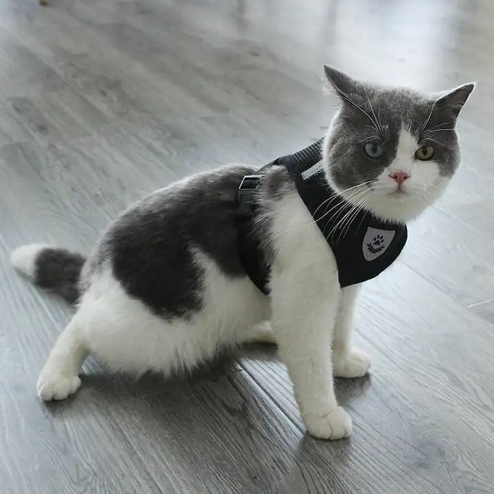 Pechera Ajustable para Perros y Gatos – Paseos Seguros y Cómodos