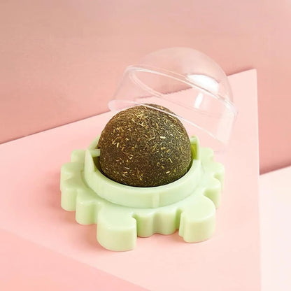 Pelota Catnip Autoadhesiva para Gatos – Juguete Estimulante